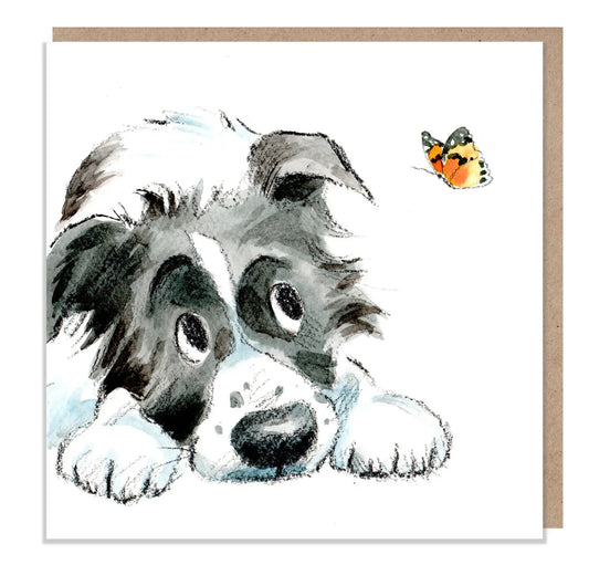 Cute Dog Card- Blank - Black And White Collie With Butterfly