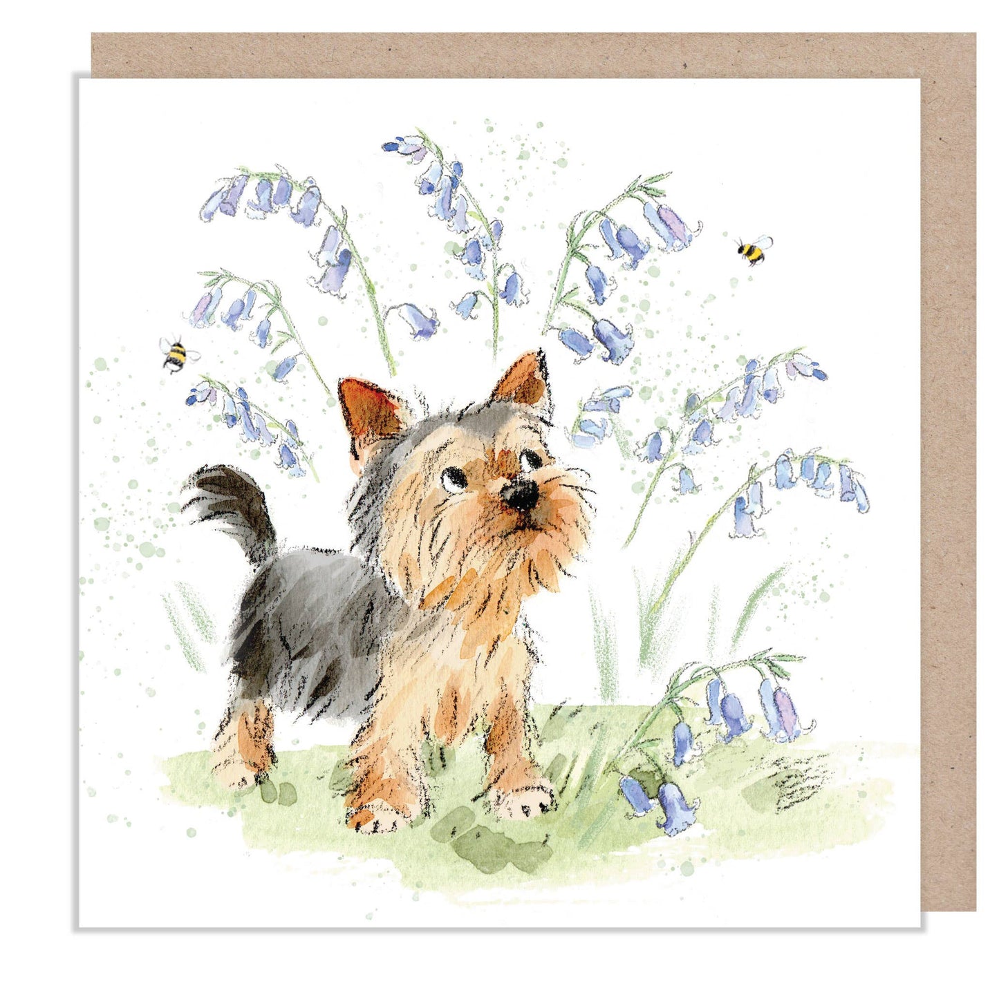 Blank Card - Yorkie with bluebells - ABE112