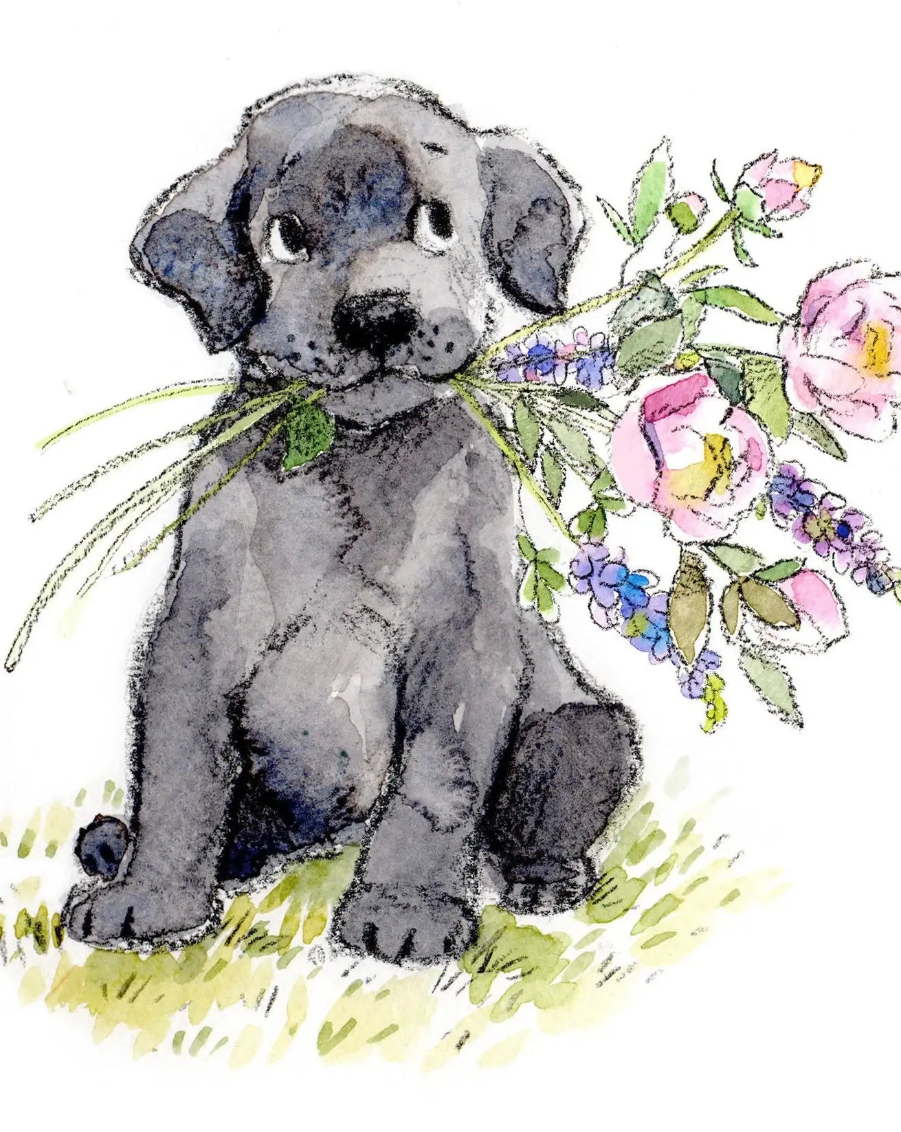 Cute Dog Card - Blank - Black Labrador With Flowers