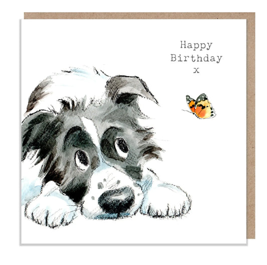 Cute Dog Birthday Card - Black And White Collie