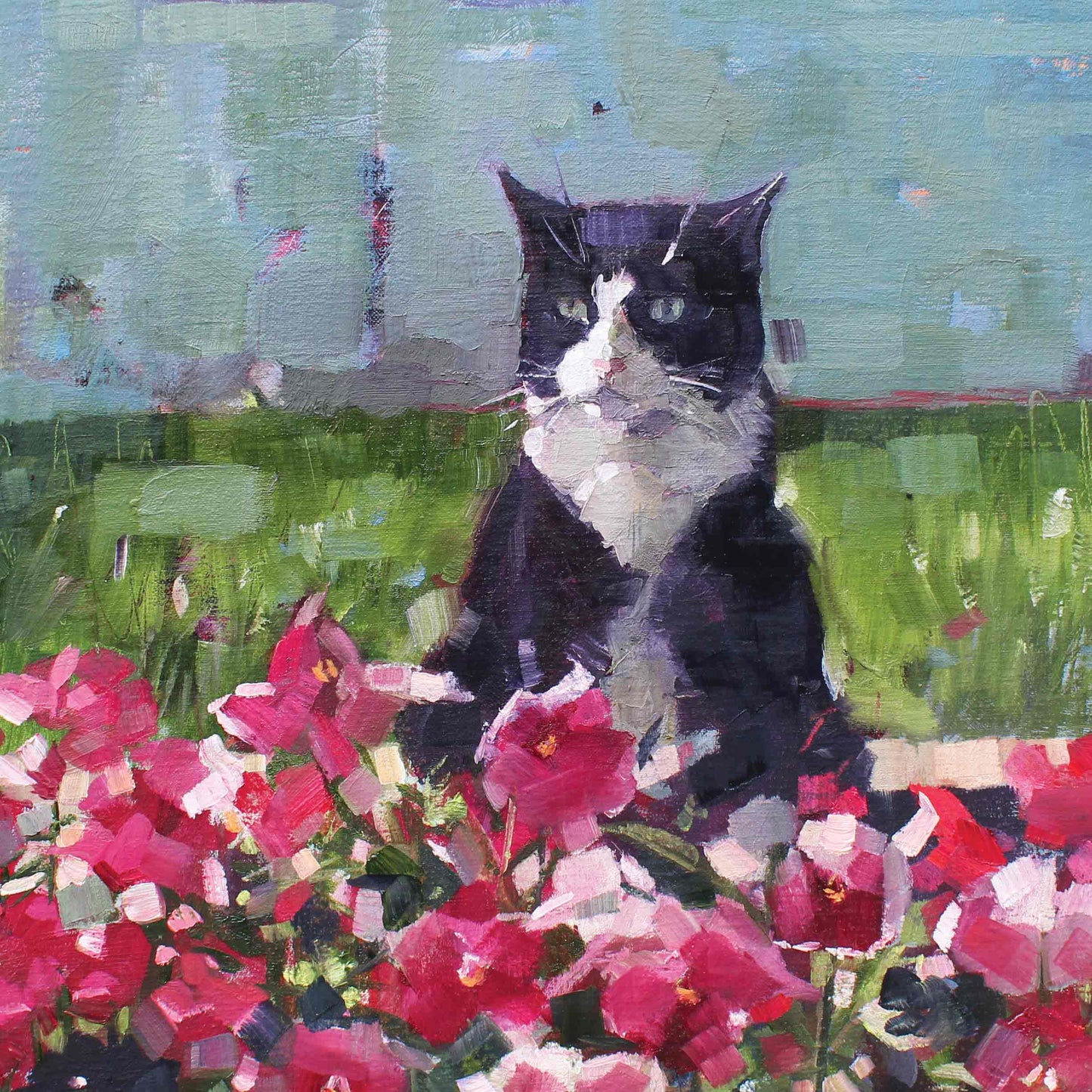 Ringo and Pansies: Card with envelope in compostable cello