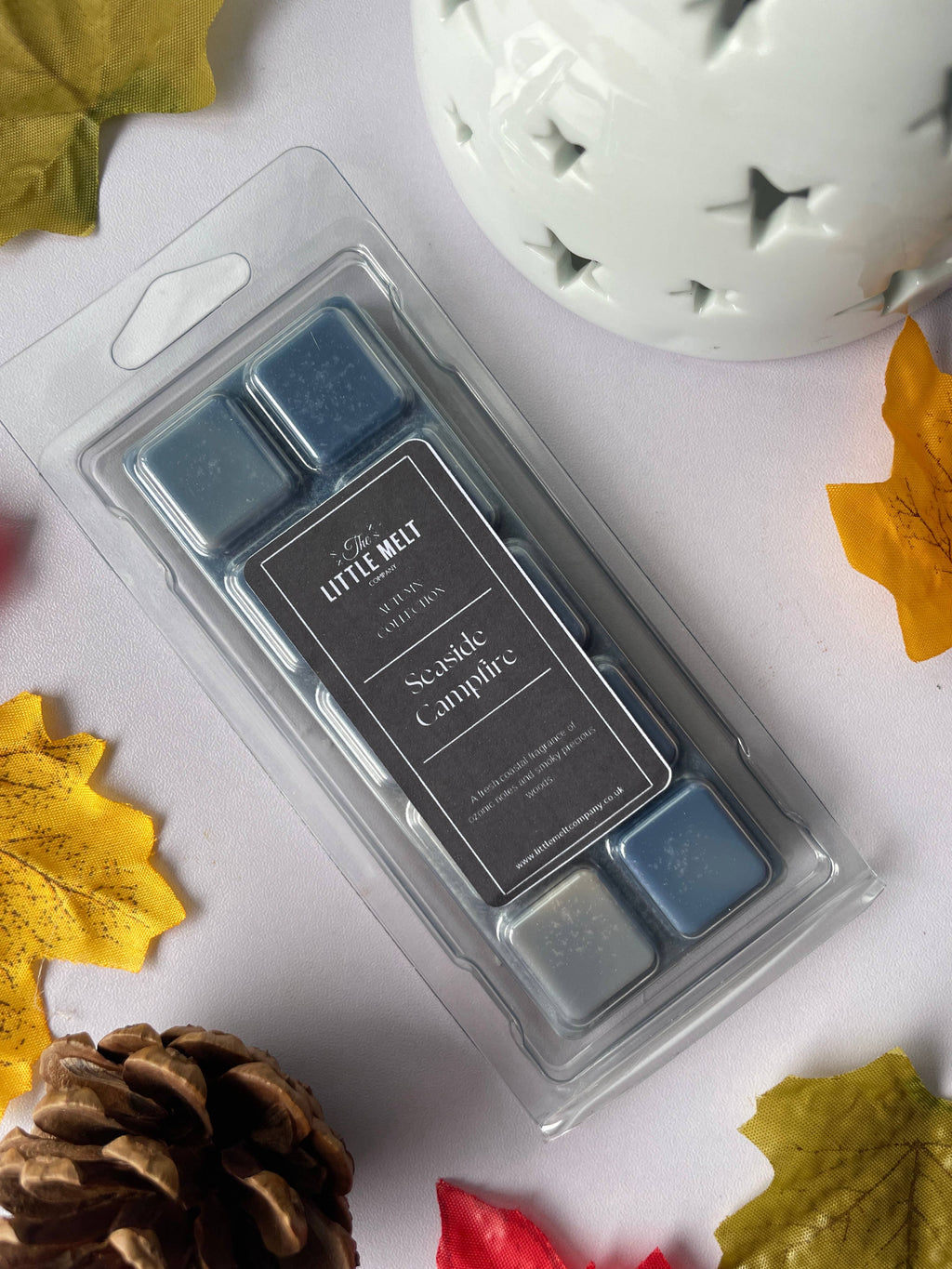 Seaside Campfire Wax Melt Snap Bar