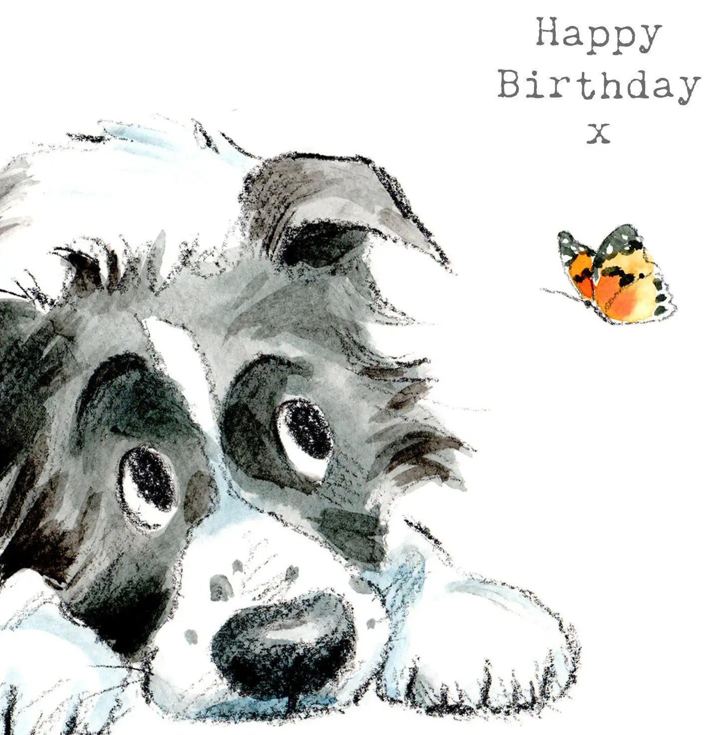 Cute Dog Birthday Card - Black And White Collie
