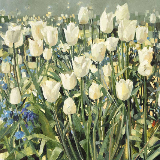 MBU034 White Tulip Garden: 6 cards individually wrapped