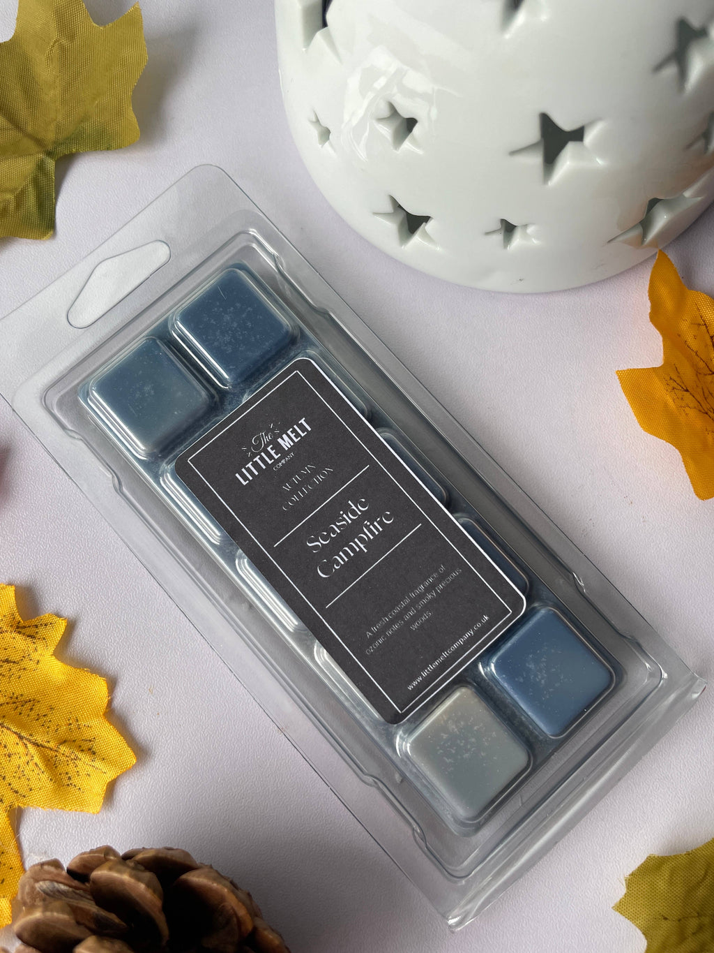 Seaside Campfire Wax Melt Snap Bar