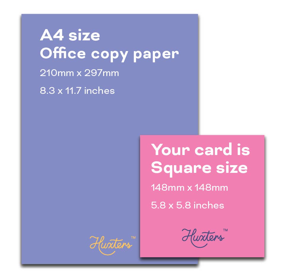 You Passed with Flying Colours Rainbow Exams Graduation Card