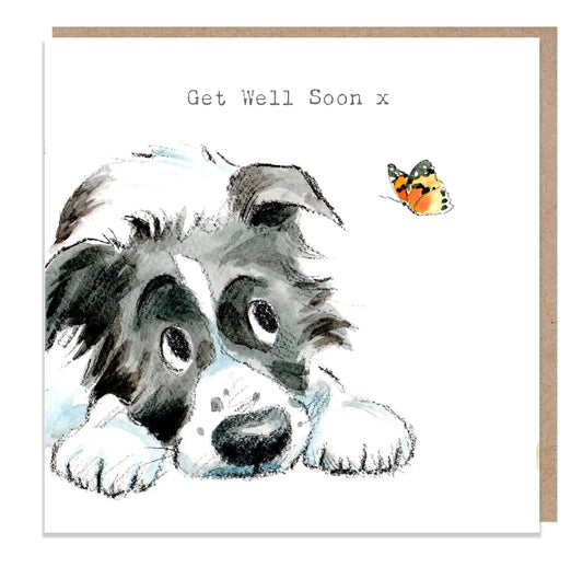 Cute Dog Card - Get Well Soon - Black And White Collie