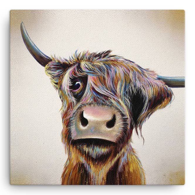 A Bad Hair Day Highland Cow Large Canvas Wall Art AB01W