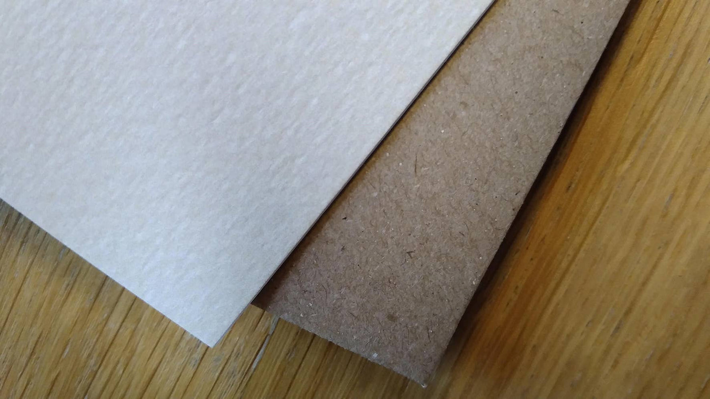 Blank Card - Yorkie with bluebells - ABE112