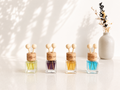 Car Diffuser Testers