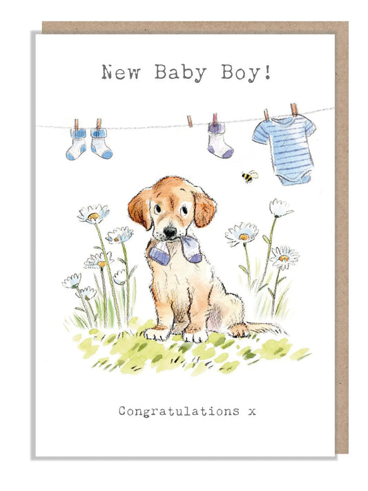 Baby Boy Card - Congratulation - Labrador