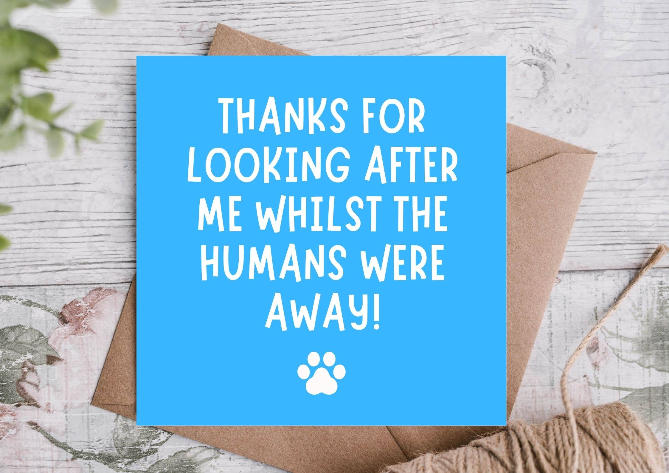Thanks for Looking After Me – Funny Birthday Card