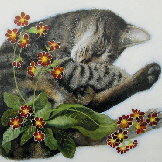 Sleeping Amongst the Polyanthus: Card with envelope in compostable cello