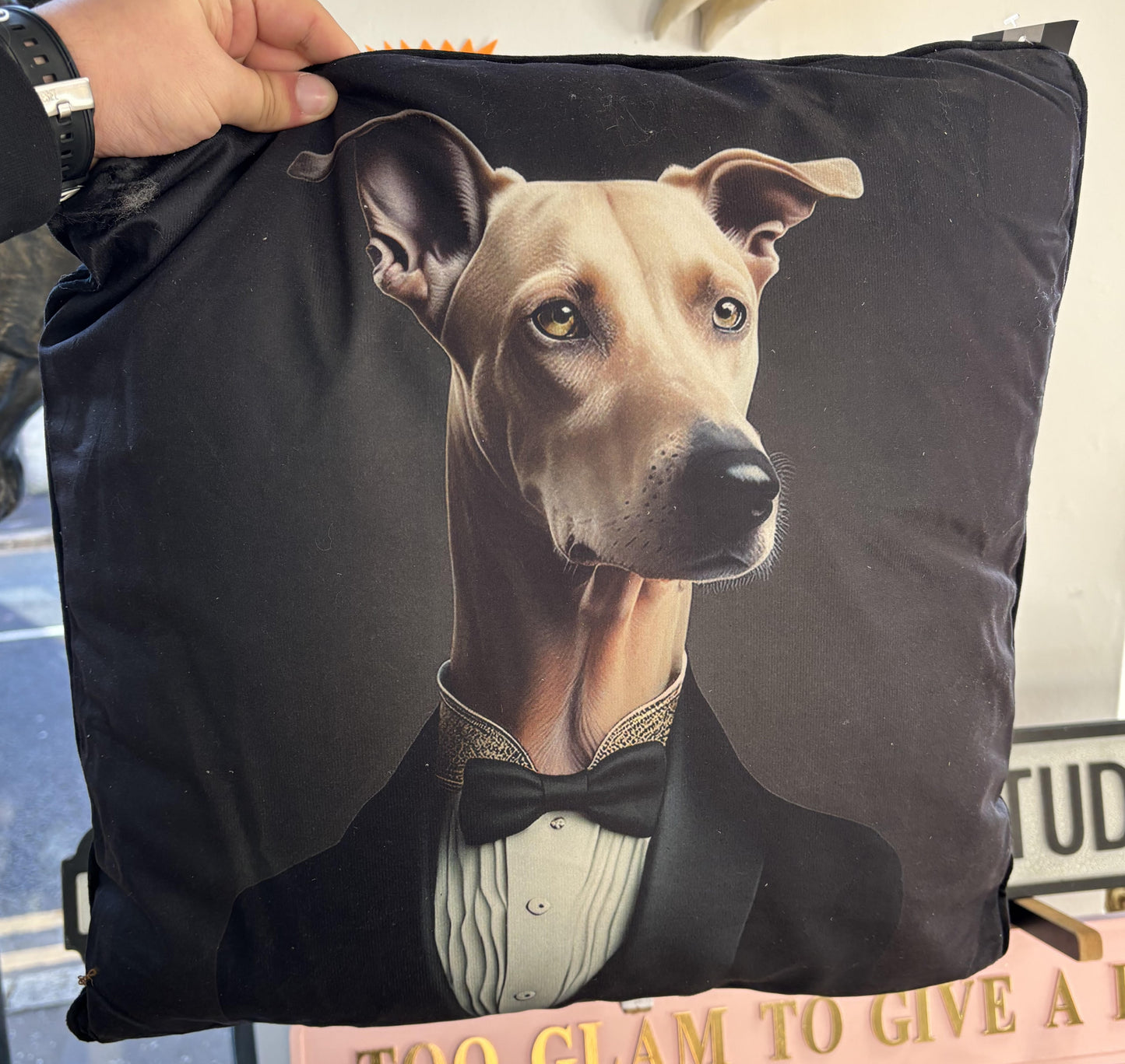 Italian Greyhound - Quirky Pillow