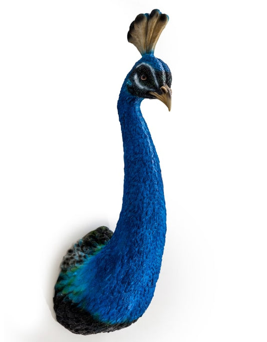 Peacock Head Wall Figure (Collection Only!)